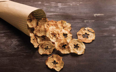 Cinnamon Apple Chips
