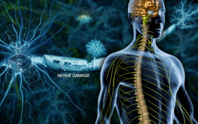 Multiple Sclerosis: What you Need to Know!