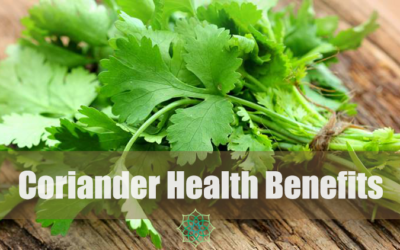 Heath Benefits of Cilantro ‘aka’ Coriander