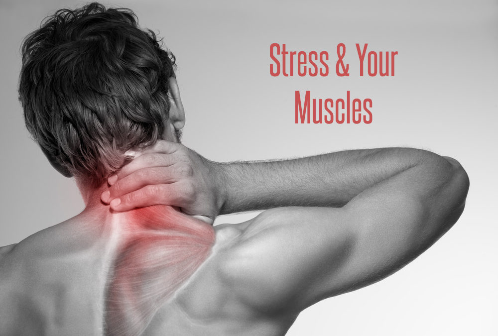 Stress & Your Muscles