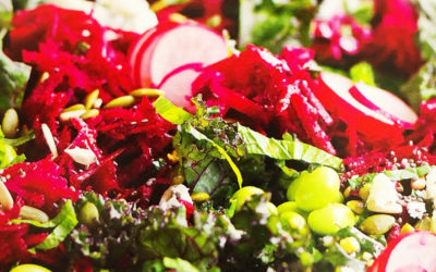 Kale & Beet Salad