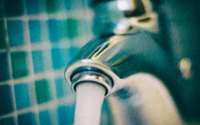 Structured Water and Fluoridation