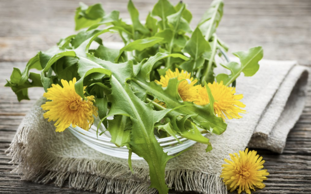 10 Health Benefits of Dandelion