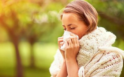 Top 10 Foods that Combat Colds & Flu