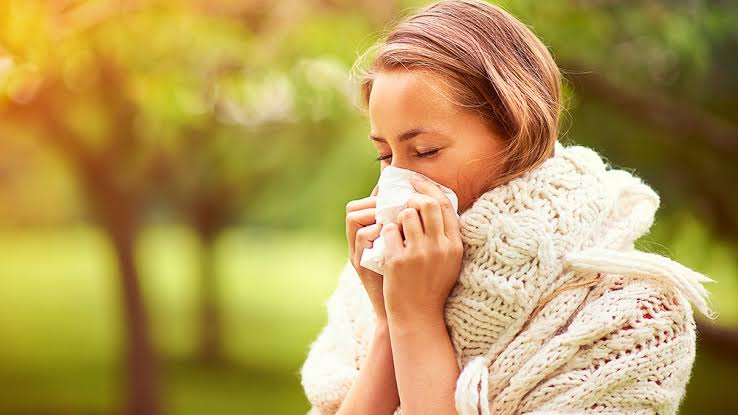 Top 10 Foods that Combat Colds & Flu