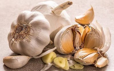 Benefits of Garlic