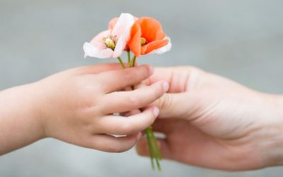 Gratitude Alters The Human Heart