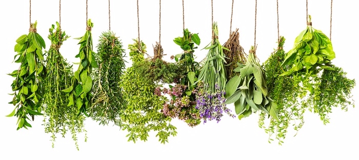 5 herb solutions for everyday stress